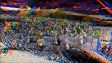 Digitale Kunst mit dem Titel "accelerat" von Jean Philippe Desmoulins, Original-Kunstwerk, Manipulierte Fotografie