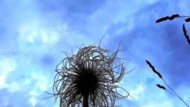 Фотография под названием "Ange" - Jean Philippe Desmoulins, Подлинное произведение искусства, Цифровая фотография