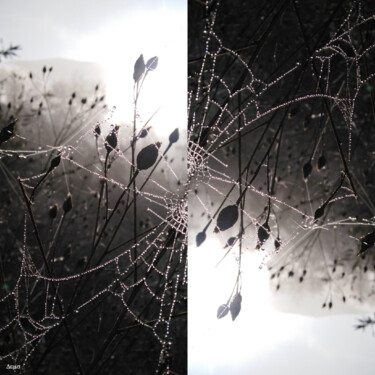 Фотография под названием "On a thread" - Jean Philippe Desmoulins, Подлинное произведение искусства, Фотомонтаж