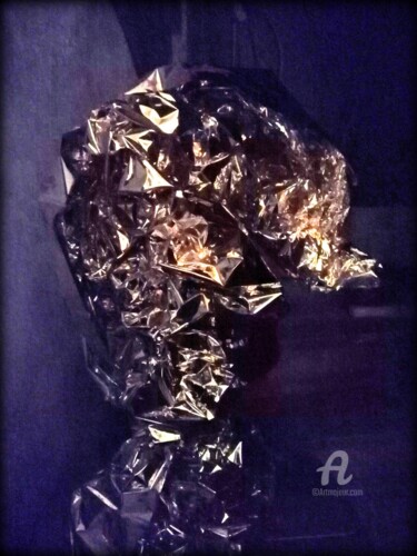 Photographie intitulée "Élisabeth/Aluminium…" par Jean Philippe Desmoulins, Œuvre d'art originale, Aluminium