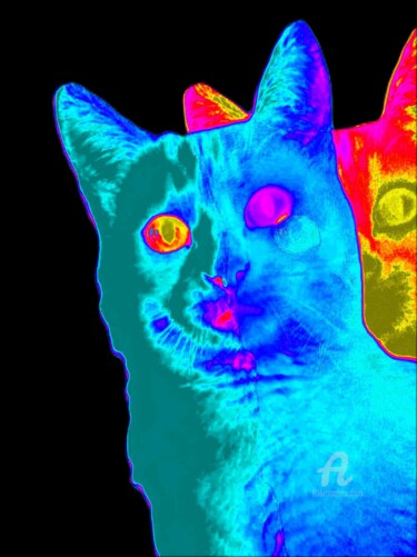 Фотография под названием "The Mad Cat" - Jean Philippe Desmoulins, Подлинное произведение искусства, Манипулированная фотогр…