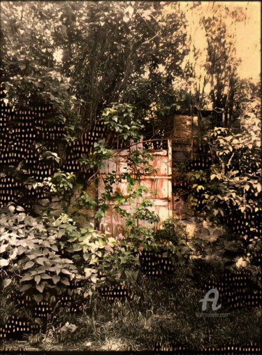 Photographie intitulée "Le pouvoir de Gaia" par Jean Philippe Desmoulins, Œuvre d'art originale, Photographie manipulée