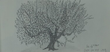 Dessin intitulée "L'olivier du Grès" par Jean-Pierre Allano, Œuvre d'art originale, Crayon