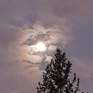 Fotografie mit dem Titel "La Lune éclaire le…" von Jean-Pierre Duquaire, Original-Kunstwerk, Digitale Fotografie