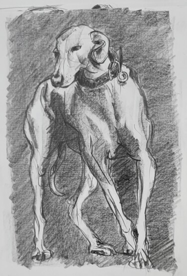 Drawing titled "Gamin" by Jean-Pierre Emond, Original Artwork, Graphite