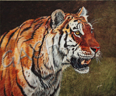 Painting titled "tigre-de-siberie-01…" by Gache, Original Artwork, Acrylic