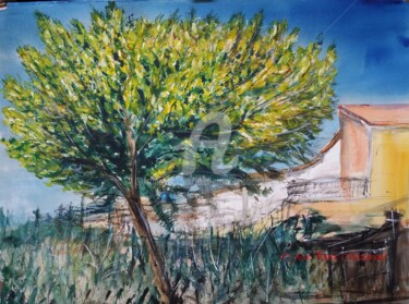 Painting titled "Mimosa en Provence" by Jean-Pierre Missistrano, Original Artwork, Watercolor