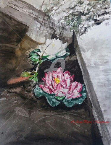 Painting titled "Lotus blanc, Nymphé…" by Jean-Pierre Missistrano, Original Artwork, Watercolor