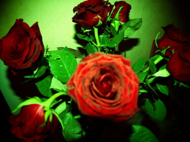 Fotografia intitulada "les roses fond vert" por Jean-Pierre Tastevin, Obras de arte originais, Fotografia digital