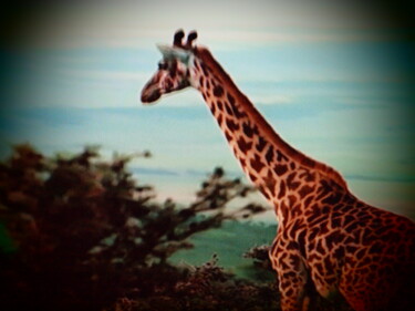 Fotografie mit dem Titel "la girafe" von Jean-Pierre Tastevin, Original-Kunstwerk, Digitale Fotografie