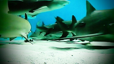 Photographie intitulée "les requins ont fai…" par Jean-Pierre Tastevin, Œuvre d'art originale, Photographie numérique
