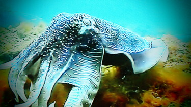 Фотография под названием "L'octopus et ses se…" - Jean-Pierre Tastevin, Подлинное произведение искусства, Цифровая фотография
