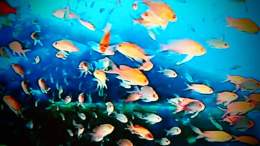Photographie intitulée "Les poissons rouges…" par Jean-Pierre Tastevin, Œuvre d'art originale, Photographie numérique