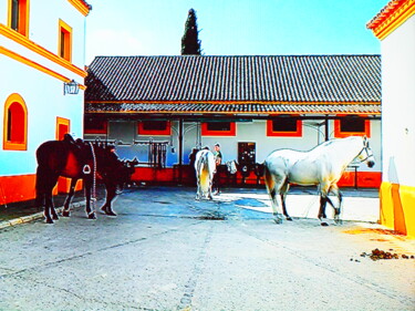 Photographie intitulée "le haras" par Jean-Pierre Tastevin, Œuvre d'art originale, Photographie numérique