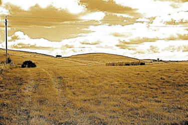 Photographie intitulée "aubrac des champs" par Jean-Pierre Simard, Œuvre d'art originale, Photographie numérique