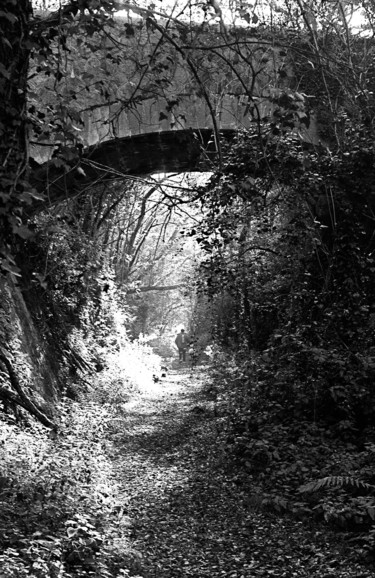 Fotografía titulada "chemin de lumière.j…" por Jean-Pierre Simard, Obra de arte original, Fotografía digital