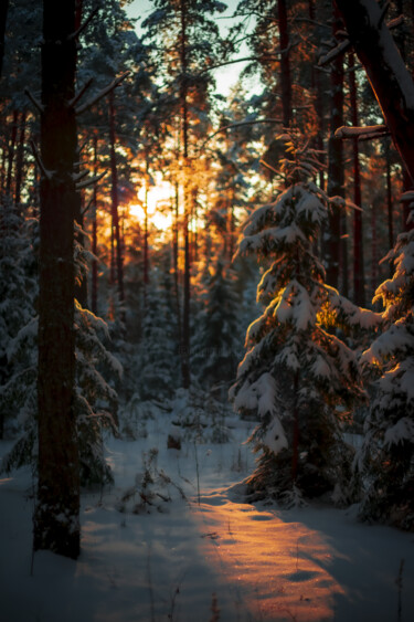 Photographie intitulée "Sunset in the forest" par Jean Ponomarevsky, Œuvre d'art originale, Photographie numérique