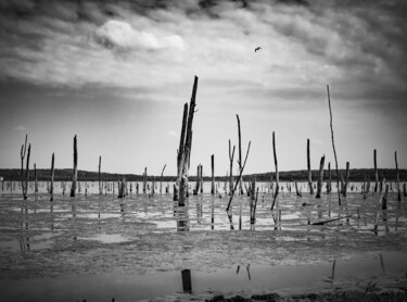 Photographie intitulée "The lake is dead 1/5" par Jean Ponomarevsky, Œuvre d'art originale, Photographie numérique