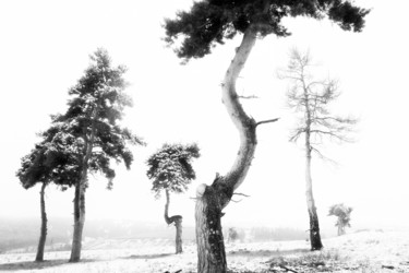 Photographie intitulée "jean Reynes-prise-d…" par Jean Reynès, Œuvre d'art originale