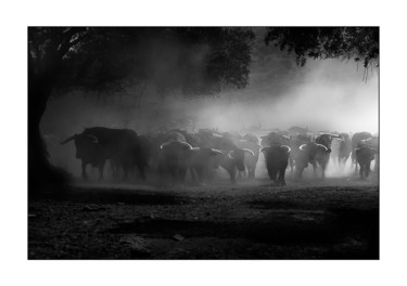 Photographie intitulée "untitled.jpg" par Jean Reynès, Œuvre d'art originale