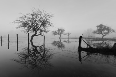 Photographie intitulée "Marais de Saône, sé…" par Jrlonghi Photographie, Œuvre d'art originale, Photographie numérique