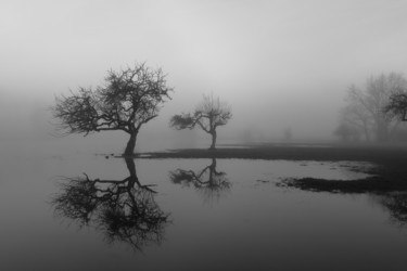 Photographie intitulée "Marais de Saône, sé…" par Jrlonghi Photographie, Œuvre d'art originale