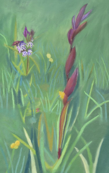 Pittura intitolato "Orchidées" da Jean Seunes, Opera d'arte originale, Pastello