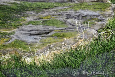 Photographie intitulée "OFFRANDE" par Jean-Thomas Bédard, Œuvre d'art originale, Photographie numérique