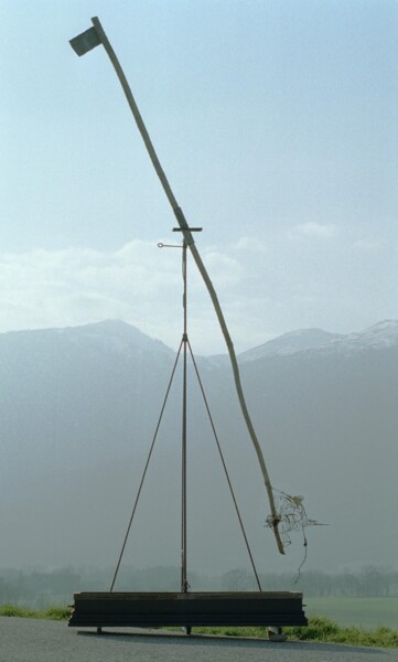 Sculpture intitulée "Le grand FLOP !" par Jean-Yves Verne, Œuvre d'art originale, Bois