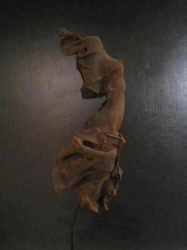 Sculpture intitulée "plastic allegory 7" par Jean-Yves Verne, Œuvre d'art originale, Plastique