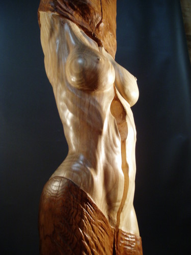 Скульптура под названием "drapee1-3.jpg" - Jean-Charles Ferrand, Подлинное произведение искусства, Дерево