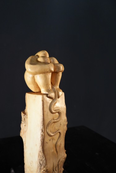 Escultura titulada "Serpentaire 1" por Jean-Charles Ferrand, Obra de arte original, Madera