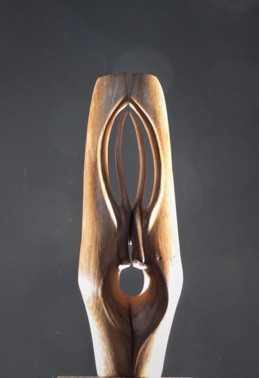 Skulptur mit dem Titel "Talle 3" von Jean-Charles Ferrand, Original-Kunstwerk, Holz
