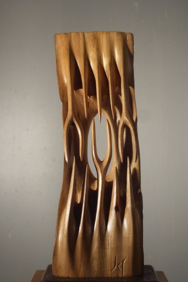 Sculpture titled "Talle 6" by Jean-Charles Ferrand, Original Artwork, Wood