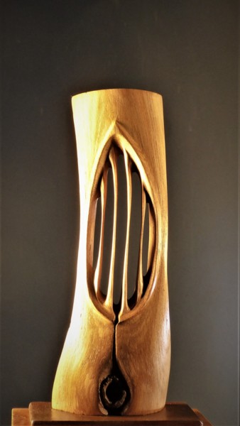 Скульптура под названием "Talle 8" - Jean-Charles Ferrand, Подлинное произведение искусства, Дерево