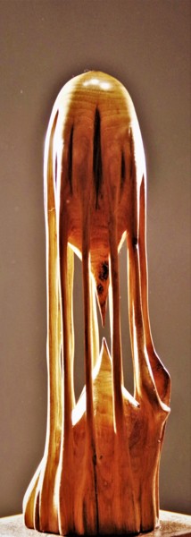 Sculpture intitulée "Hot-tension 11" par Jean-Charles Ferrand, Œuvre d'art originale, Bois