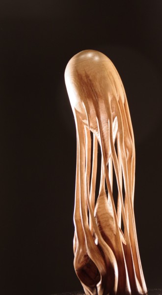 雕塑 标题为“Hot-tension 10” 由Jean-Charles Ferrand, 原创艺术品, 木