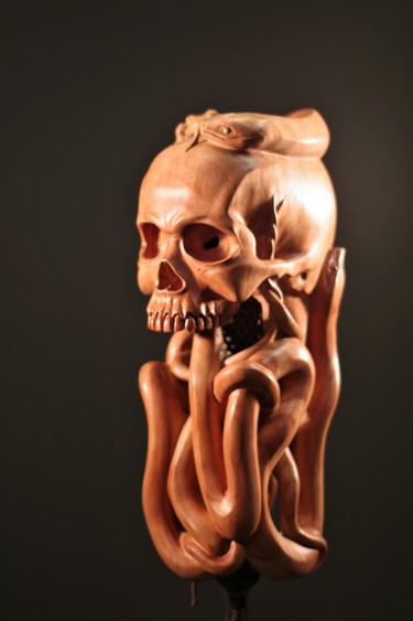 Sculpture titled "Crâne aux serpents" by Jean-Charles Ferrand, Original Artwork, Wood