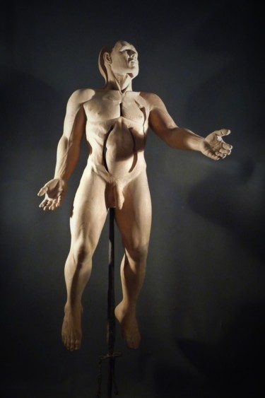 Sculpture intitulée "Affranchi" par Jean-Charles Ferrand, Œuvre d'art originale, Bois