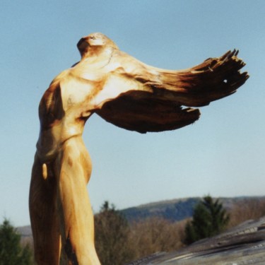 Scultura intitolato "arc-ange" da Jean-Charles Ferrand, Opera d'arte originale, Legno