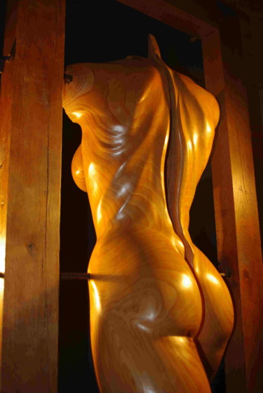 Skulptur mit dem Titel "passage2-18a.jpg" von Jean-Charles Ferrand, Original-Kunstwerk, Holz