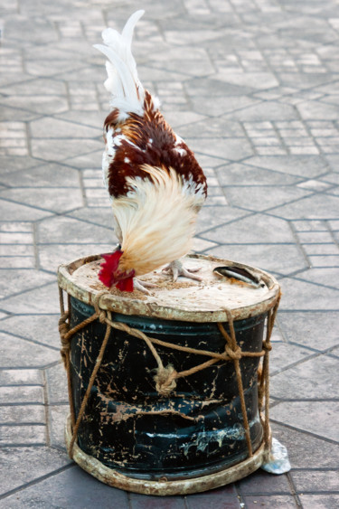 摄影 标题为“the rooster-drum” 由Jean-Claude Chevrel, 原创艺术品, 非操纵摄影