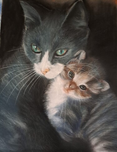 Dessin intitulée "Minette ,chaton" par Jeanine Adell, Œuvre d'art originale, Pastel