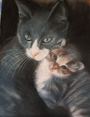 Tekening getiteld "Minette ,chaton" door Jeanine Adell, Origineel Kunstwerk, Pastel