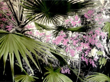 Peinture intitulée "feuilles-de-palme.j…" par Jeanluc Et Harry, Œuvre d'art originale
