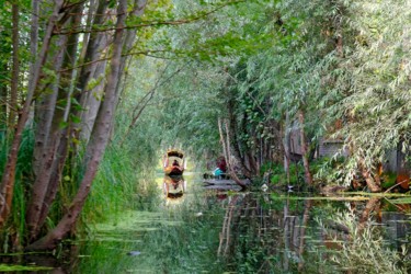 Photographie intitulée "reflection N°1" par Jean-Marc Renaudie, Œuvre d'art originale