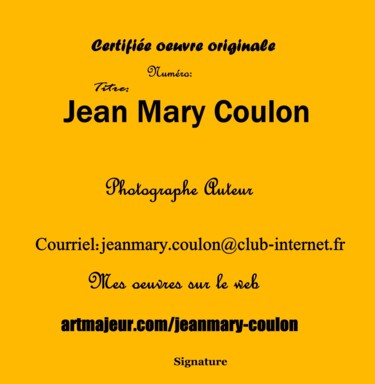 Arts numériques intitulée "certificat.jpg" par Jean Mary Coulon, Œuvre d'art originale