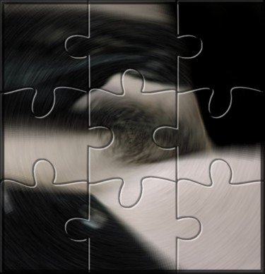 Photographie intitulée "Puzzle" par Jean Mary Coulon, Œuvre d'art originale, Photographie numérique