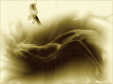 Photographie intitulée "L'oiseau de feu (ve…" par Jean Mary Coulon, Œuvre d'art originale, Photographie numérique