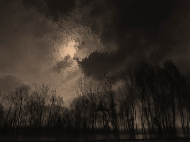 Photographie intitulée "reflet sur étang" par Jean-Michel Armand, Œuvre d'art originale, Photographie numérique